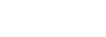 Mizuno e Rivaben Advogados
